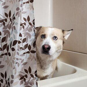 Meet your Posher, Sherie